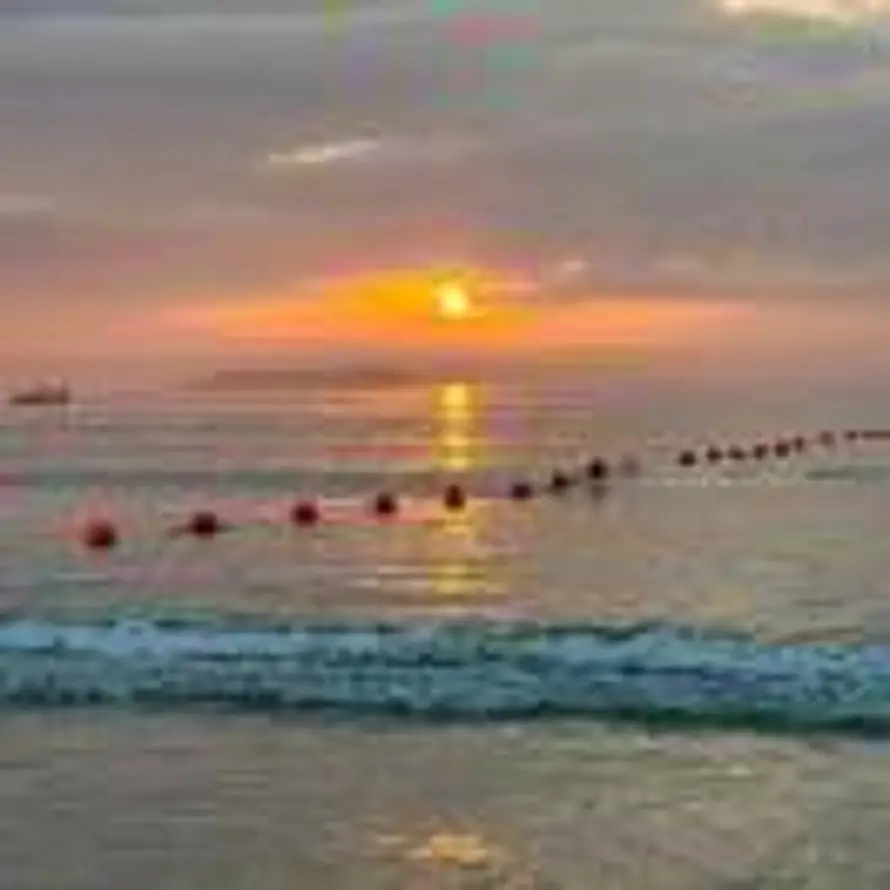 落日的用户头像 - 哲风壁纸