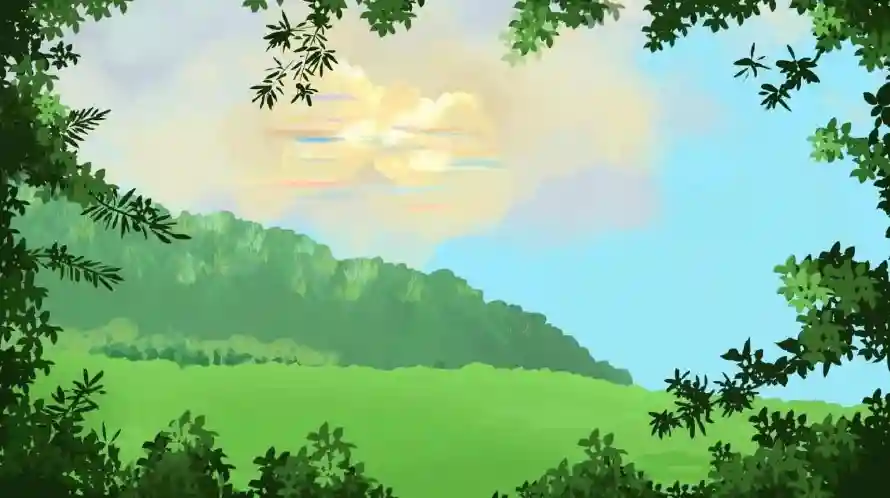 Favorite Image