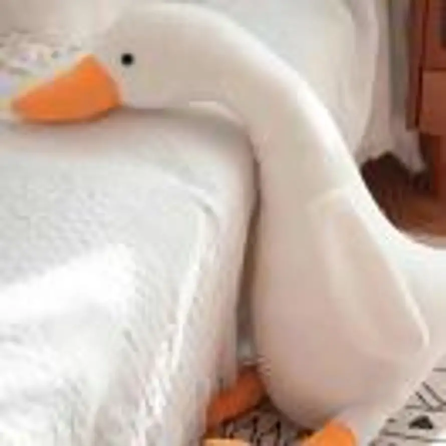 Ho的用户头像 - 哲风壁纸