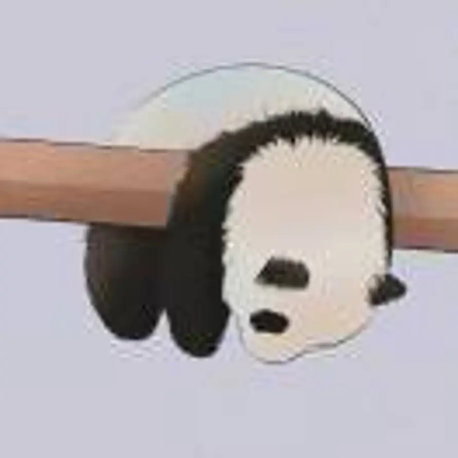 我本非風的头像