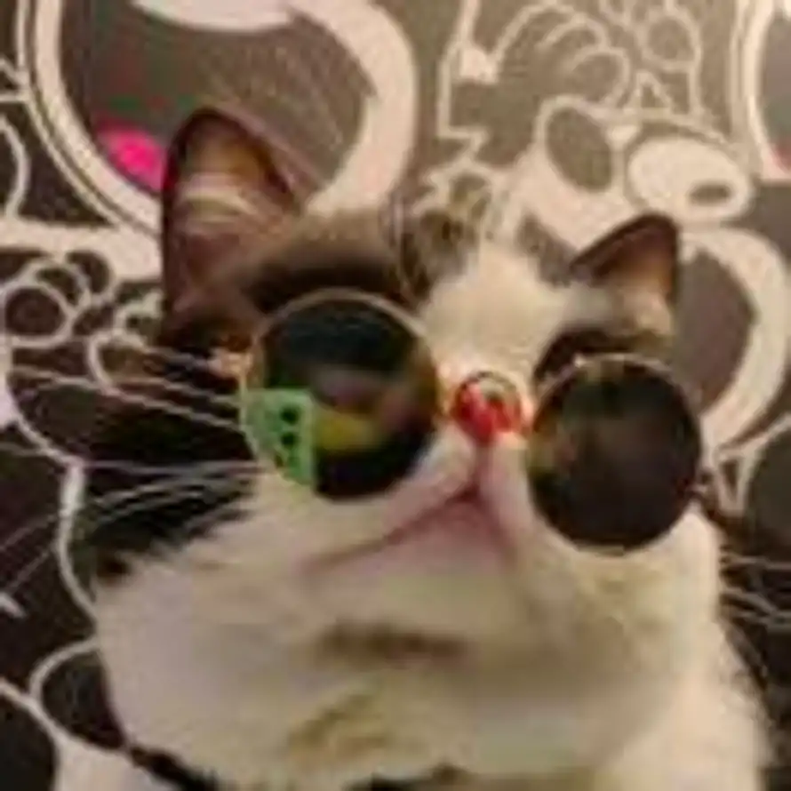 20的用户头像 - 哲风壁纸