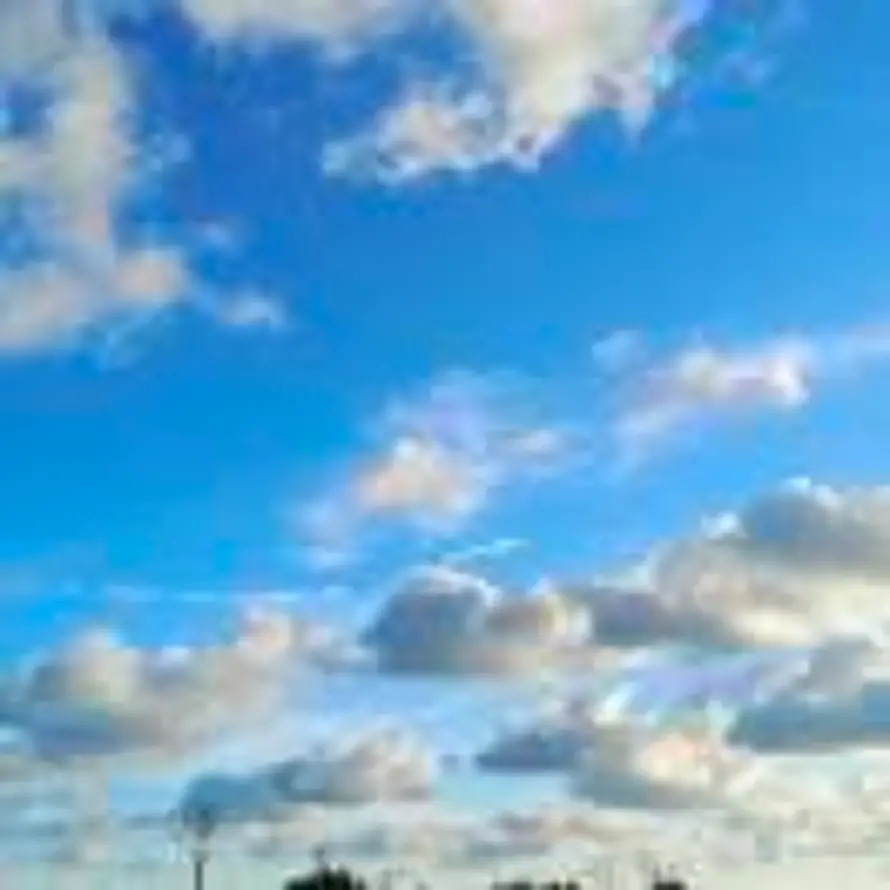 沐之春风的头像