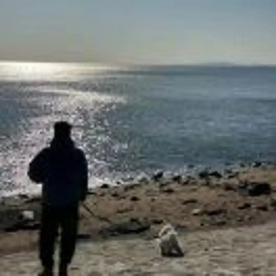 海阔天空的头像