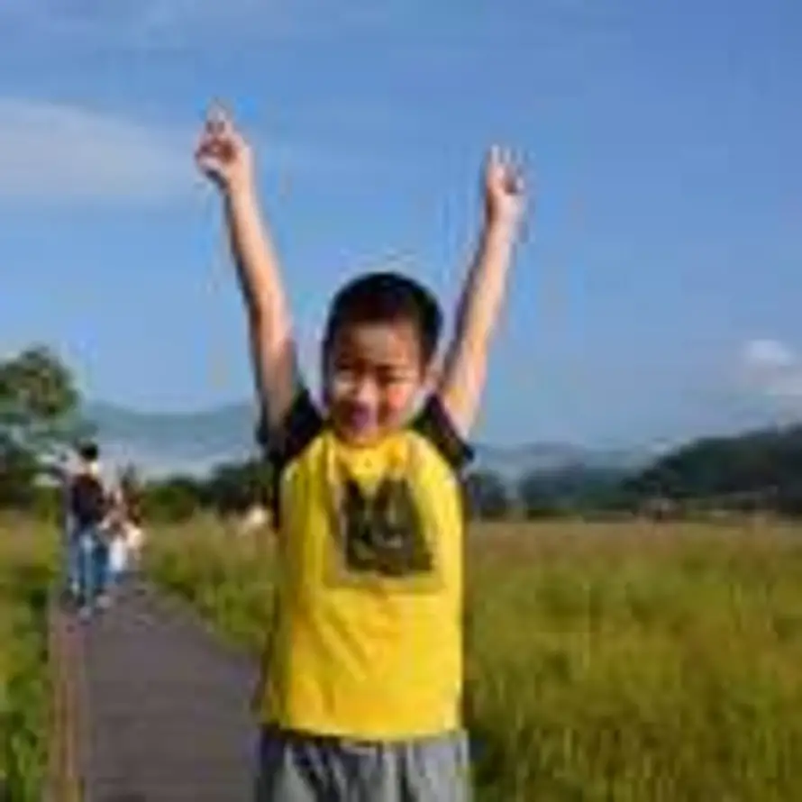 一年一个小目标的头像