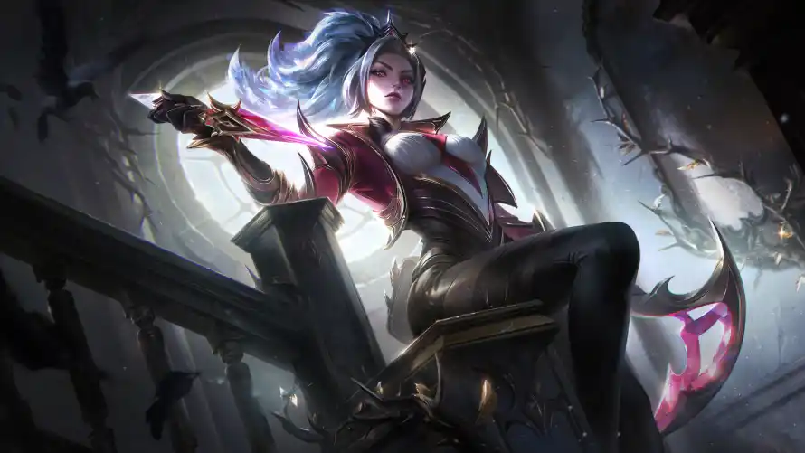 Favorite Image