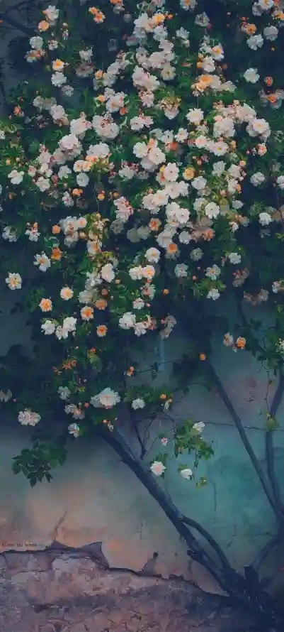 Favorite Image