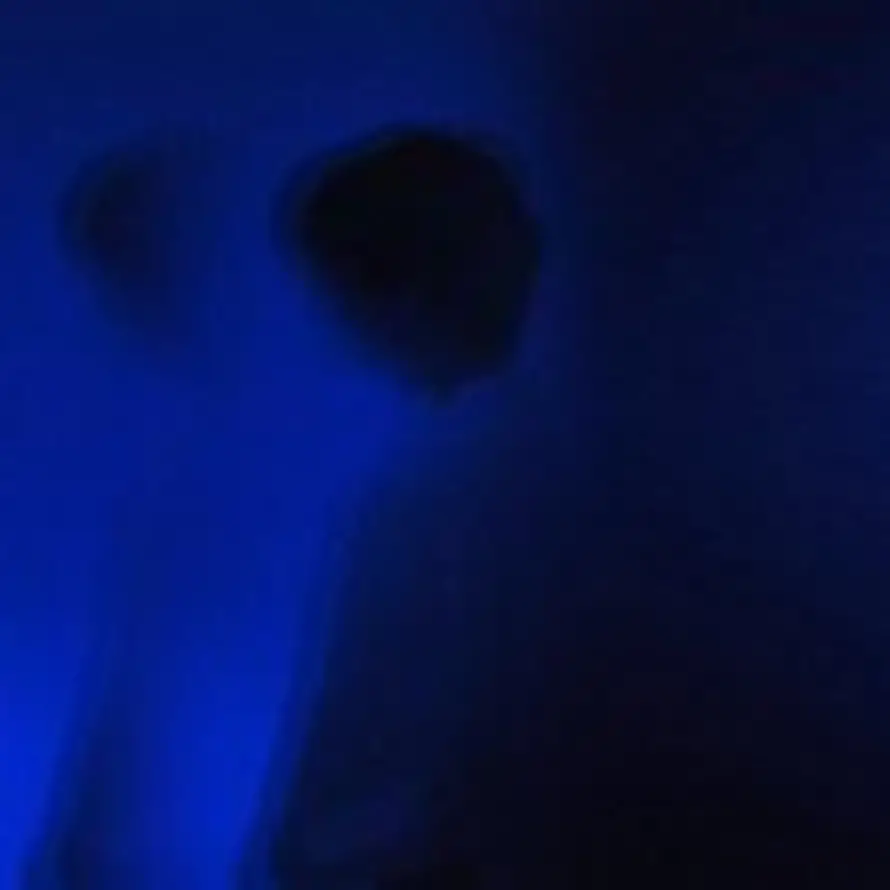 如果谈起那年的头像