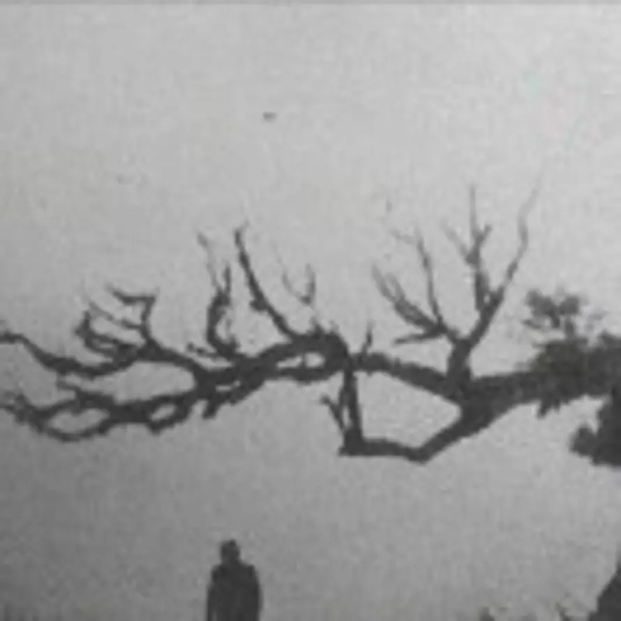 tomoto的头像