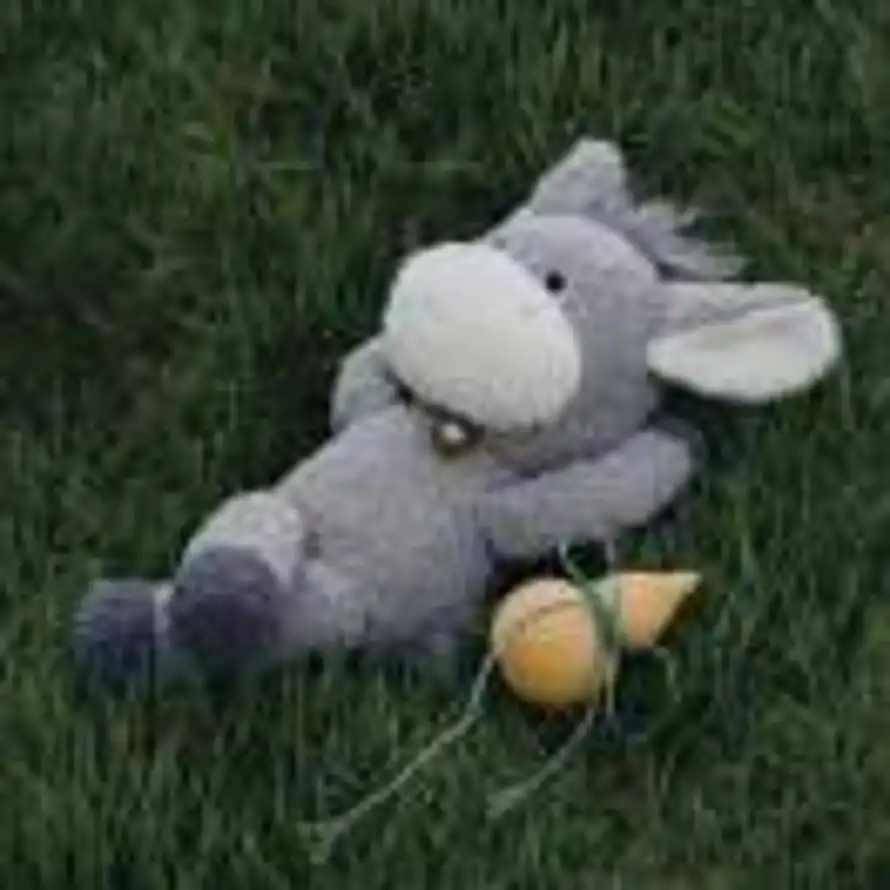 春风从不入睡的头像