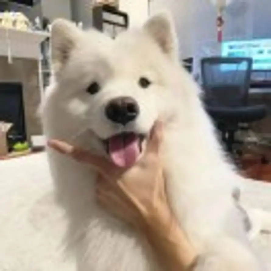 Re的头像