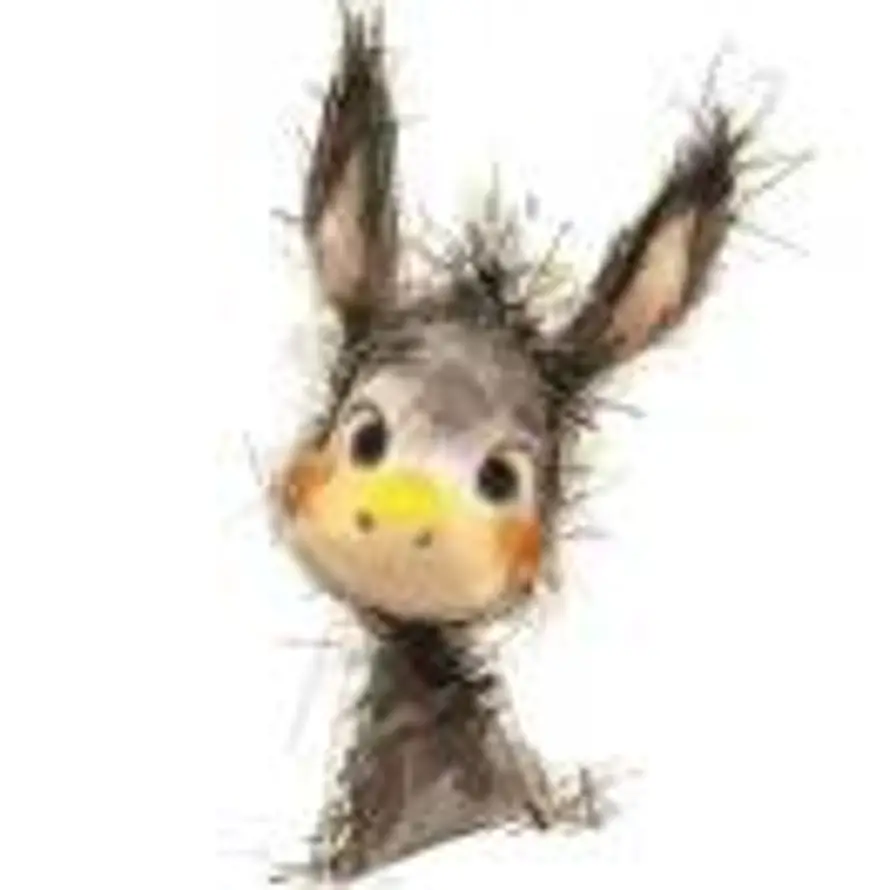 每天吃鱼香rose的头像