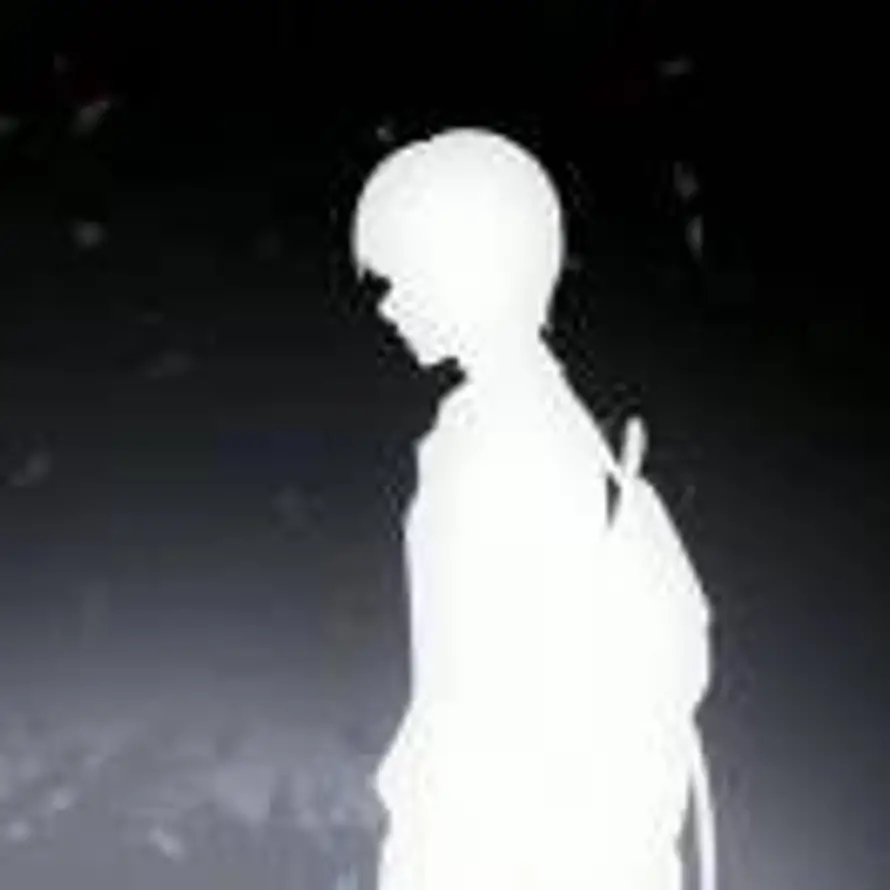 往事似风如雾的头像