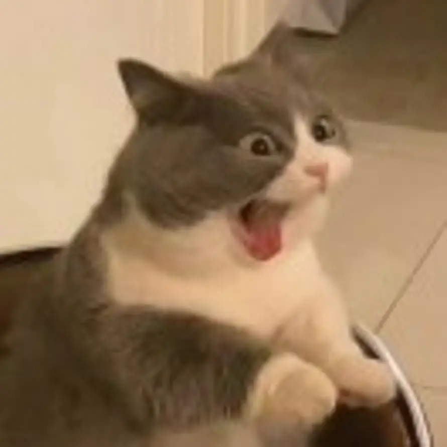 👾的头像