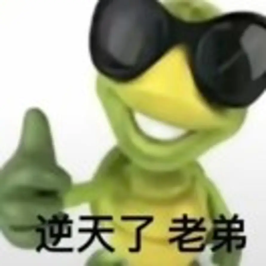 懒洋洋的鸡的头像