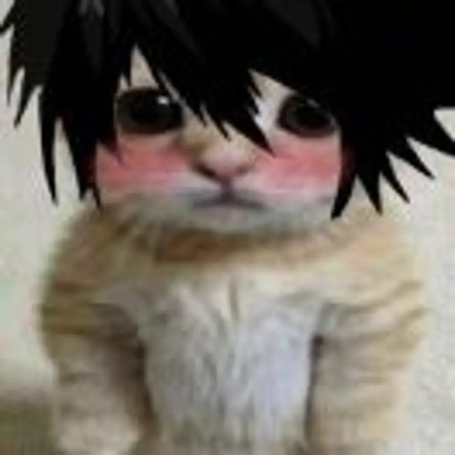 阳光透过窗台゛的用户头像 - 哲风壁纸