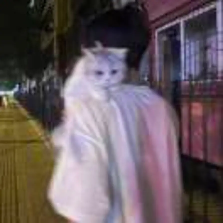 务有的头像
