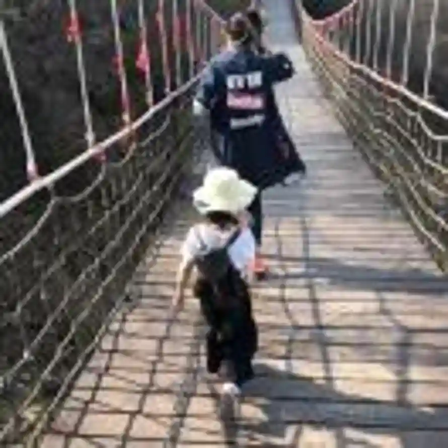 润家肥猫的头像
