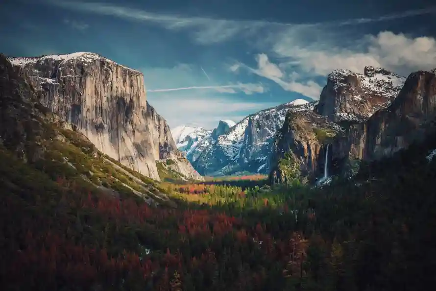 Favorite Image