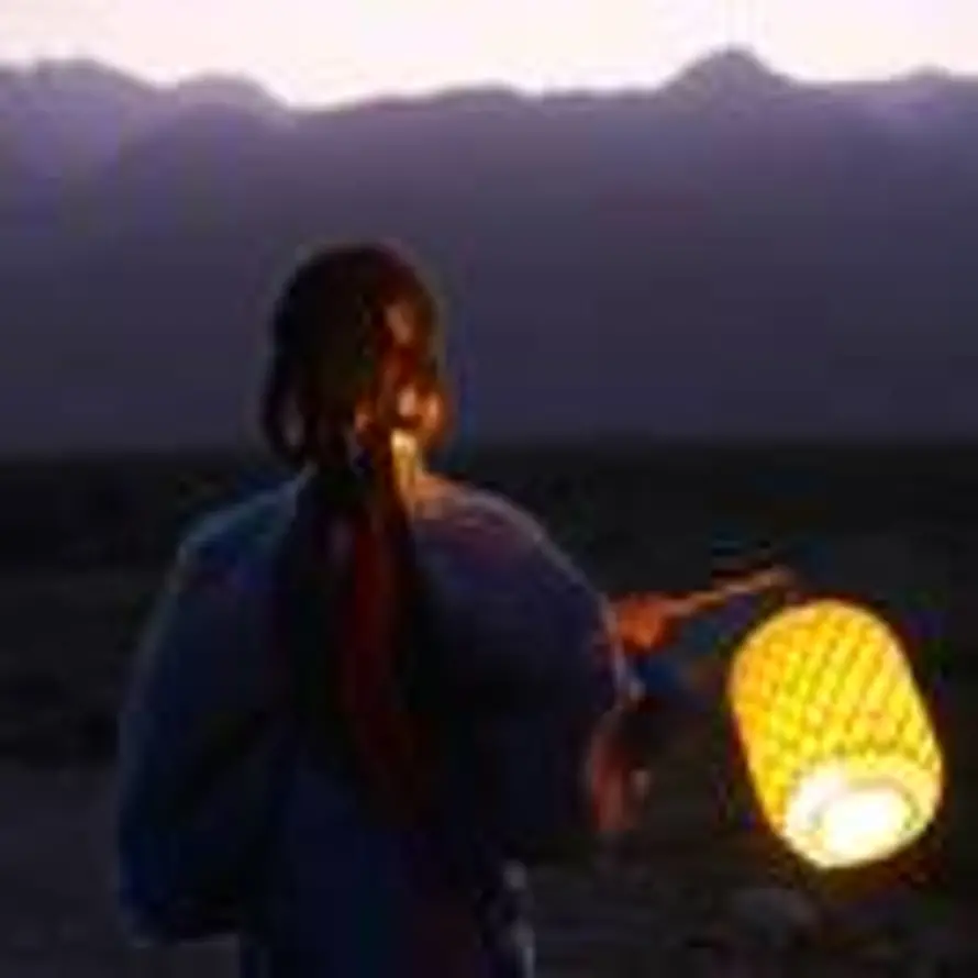 汀蝶幽兰的头像