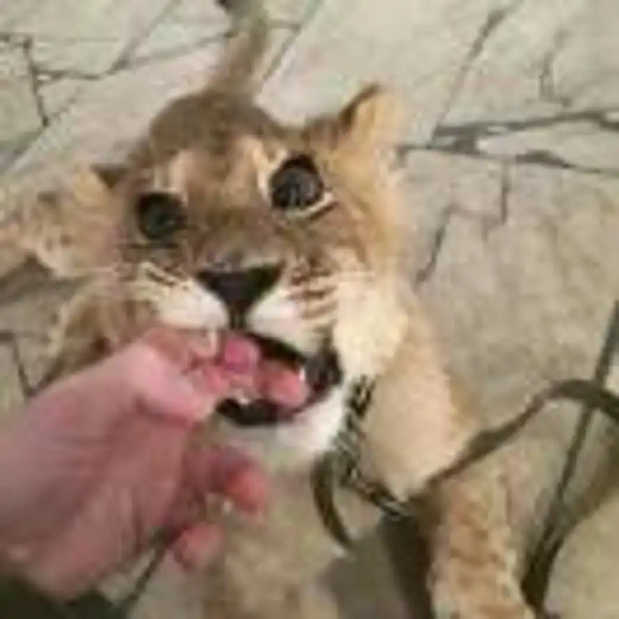 青山的用户头像 - 哲风壁纸