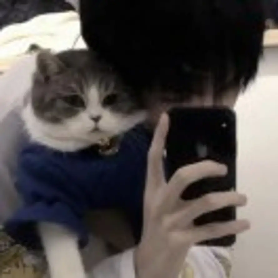 .的头像