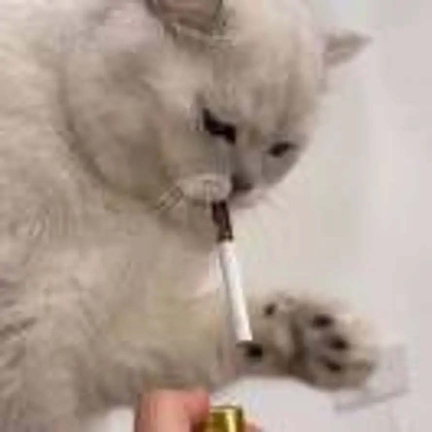 暮的头像