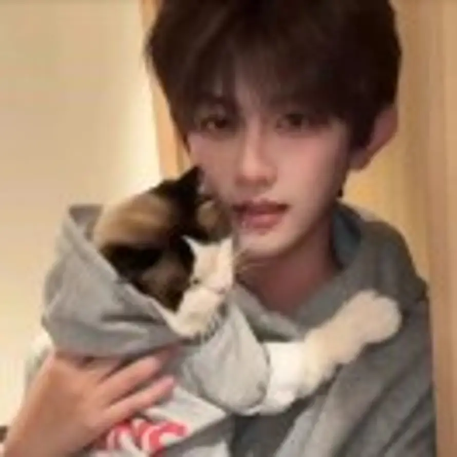 猫猫喝酒抡死你的头像