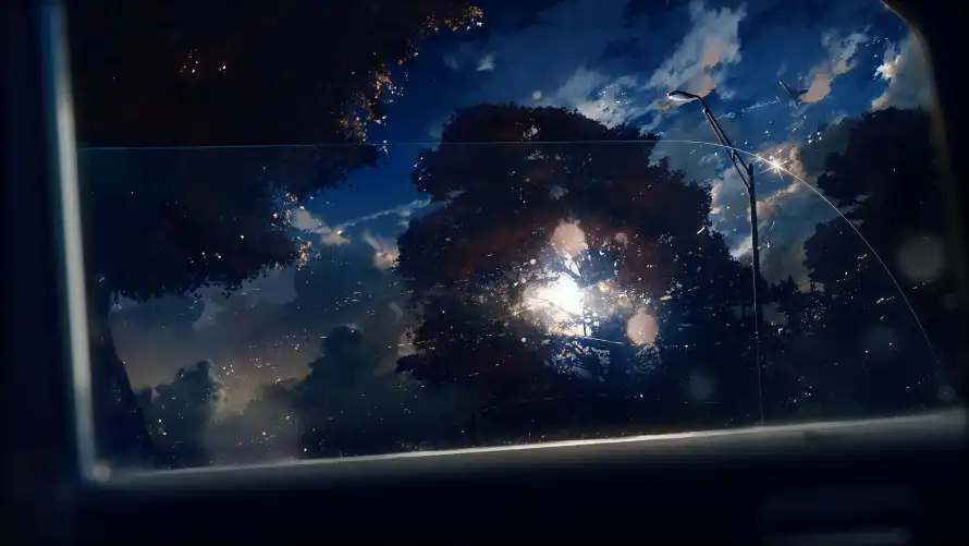3k车窗外壁纸-夜晚森林的天空和-壁纸分享「哲风壁纸」