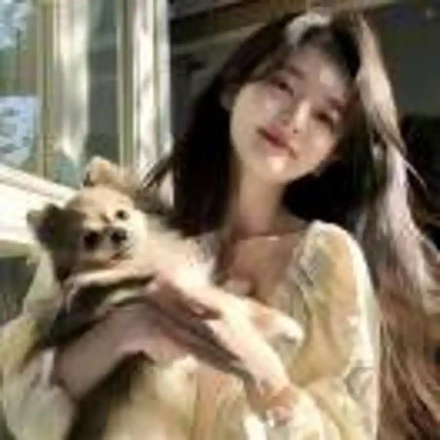 ㅤㅤ晚风刚刚好的头像