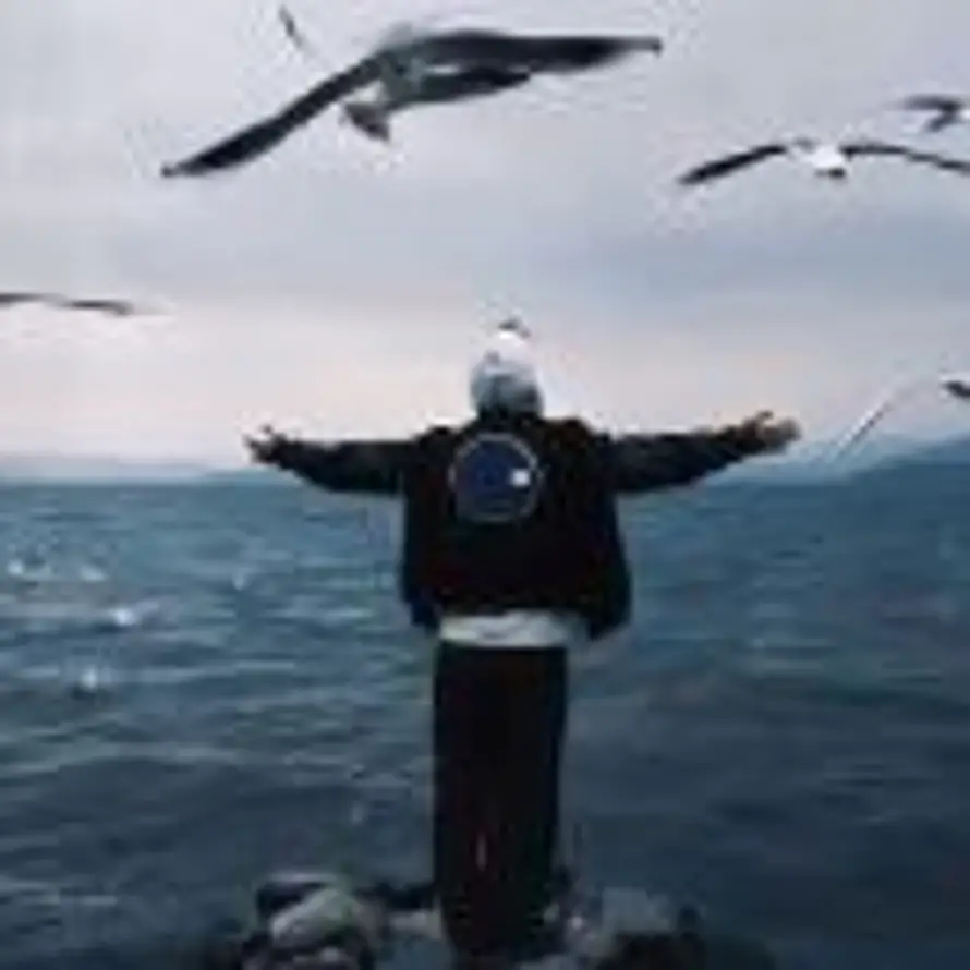 辞忧🇨🇳的头像