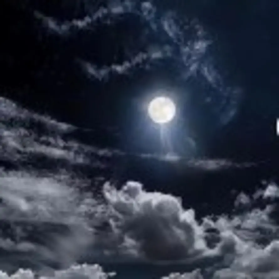 Moon的头像