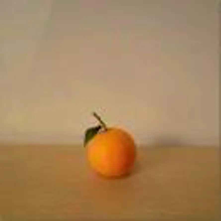 康想事橙🍊的头像