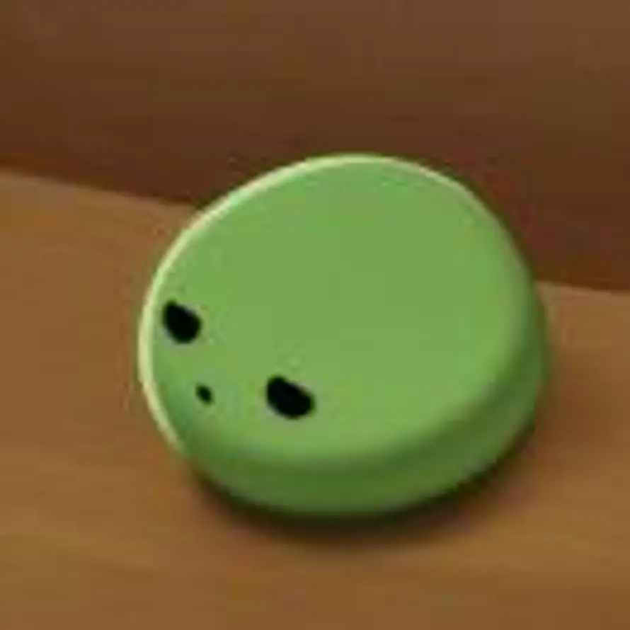 Chloroplast🌱的头像
