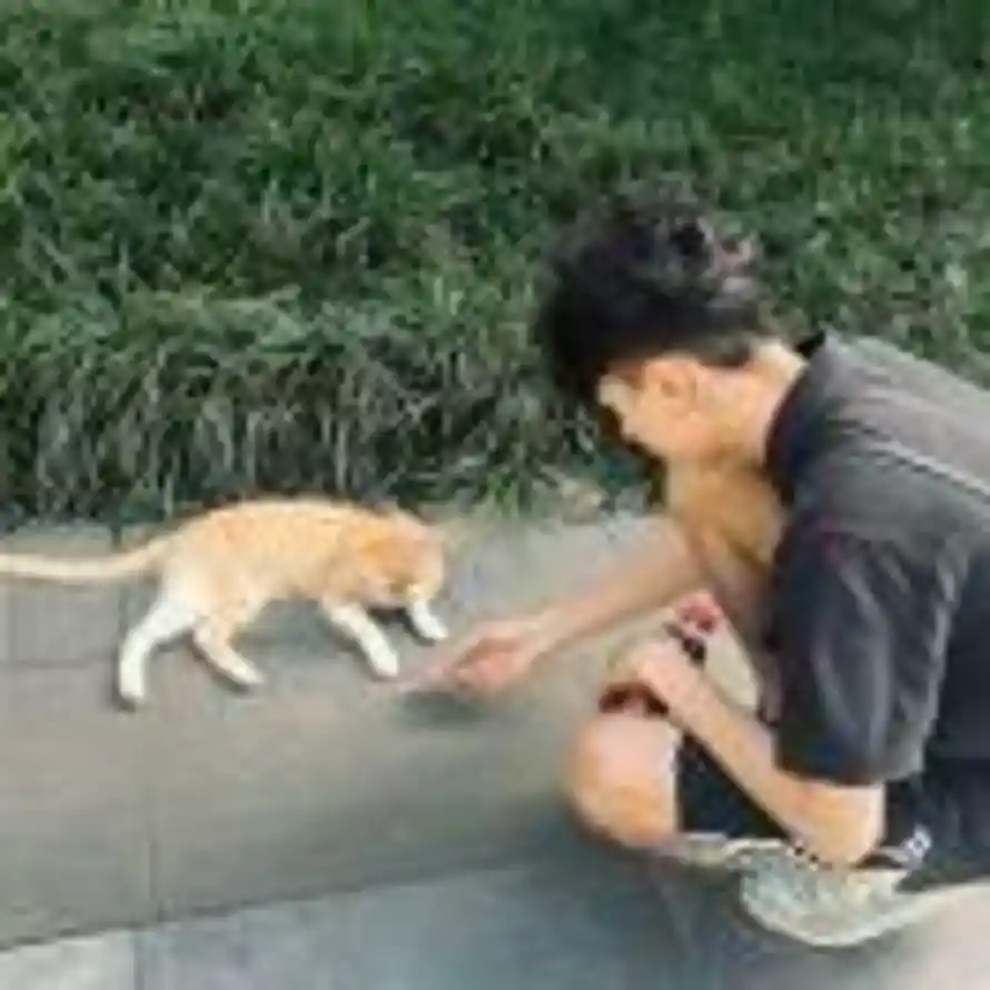 暨的头像
