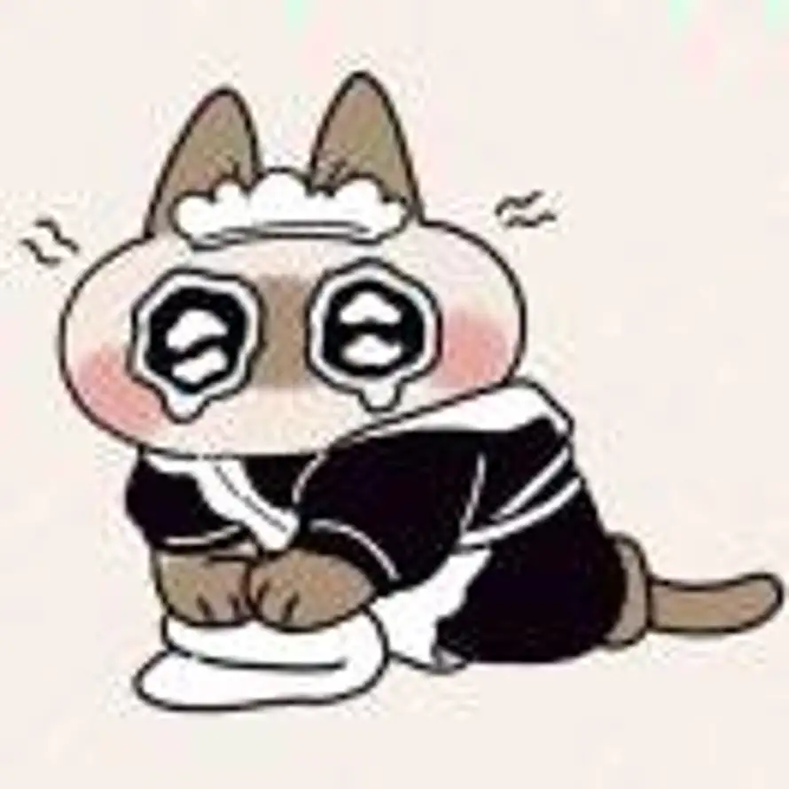 每天都在发疯的工具人小白的头像