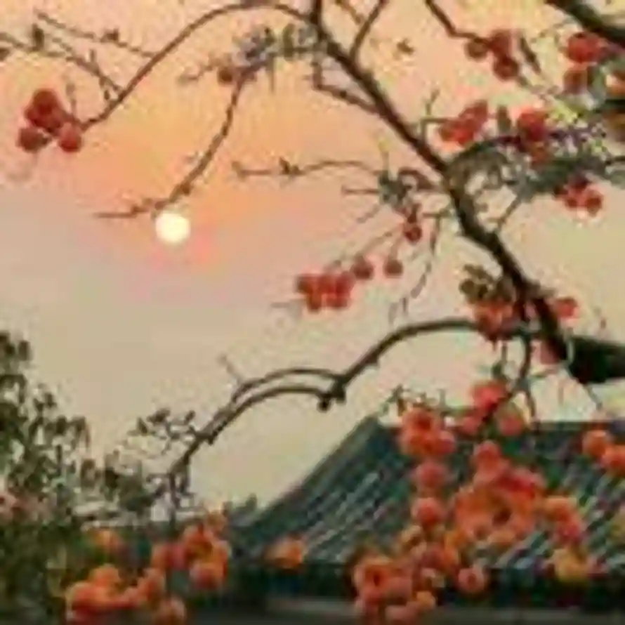 A山东证书猎聘张的头像