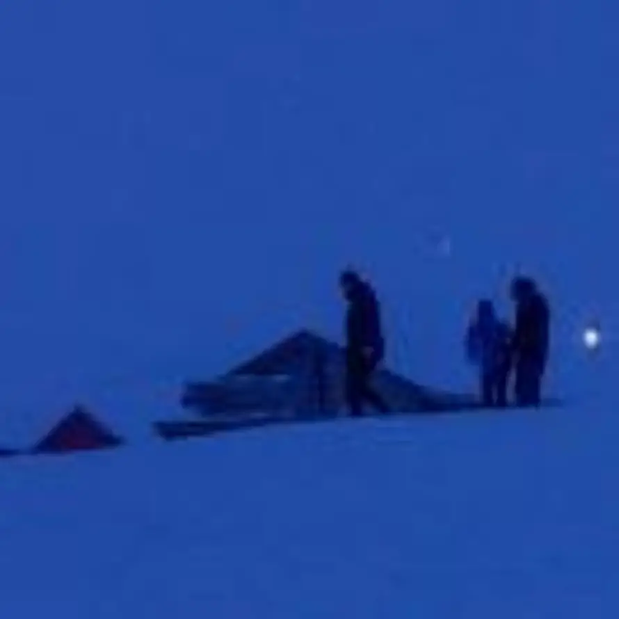 本是高山的头像