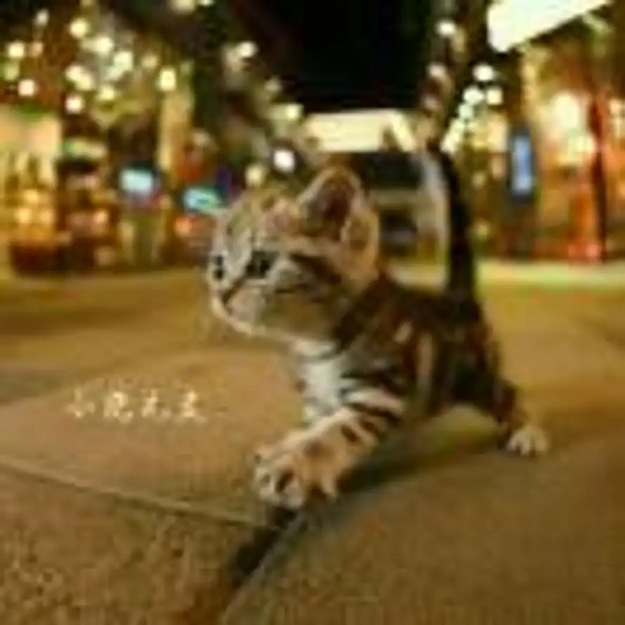 小范先生的头像