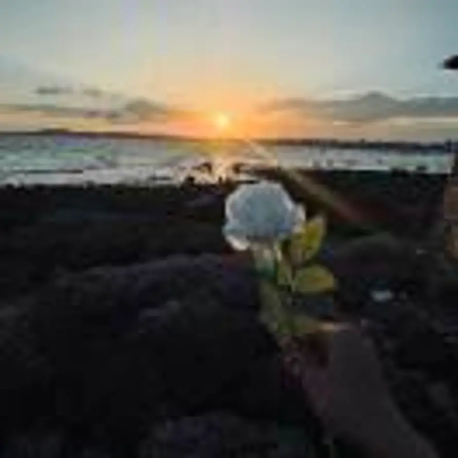 雨夜寒舟的头像