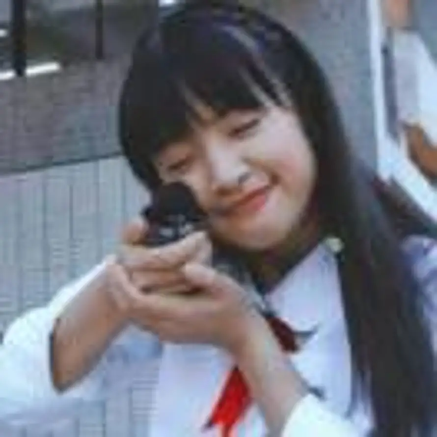 贺来的头像