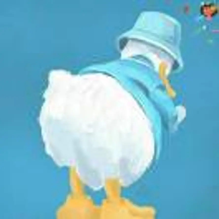 小飞猪的希冀的用户头像 - 哲风壁纸