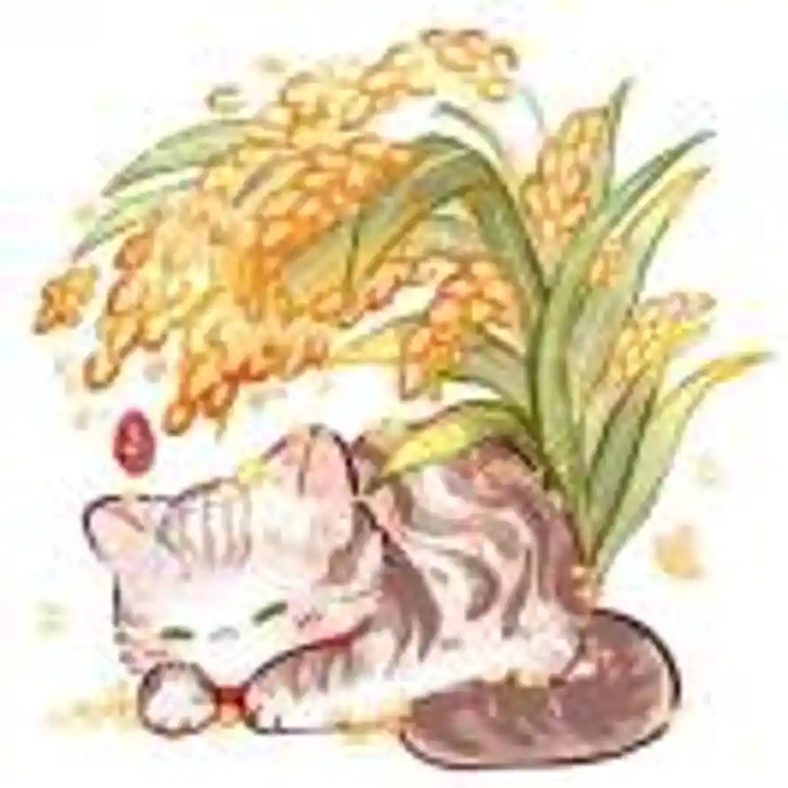 揭💤的头像