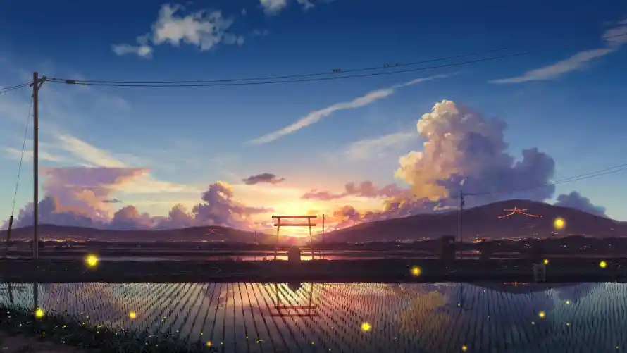 Favorite Image