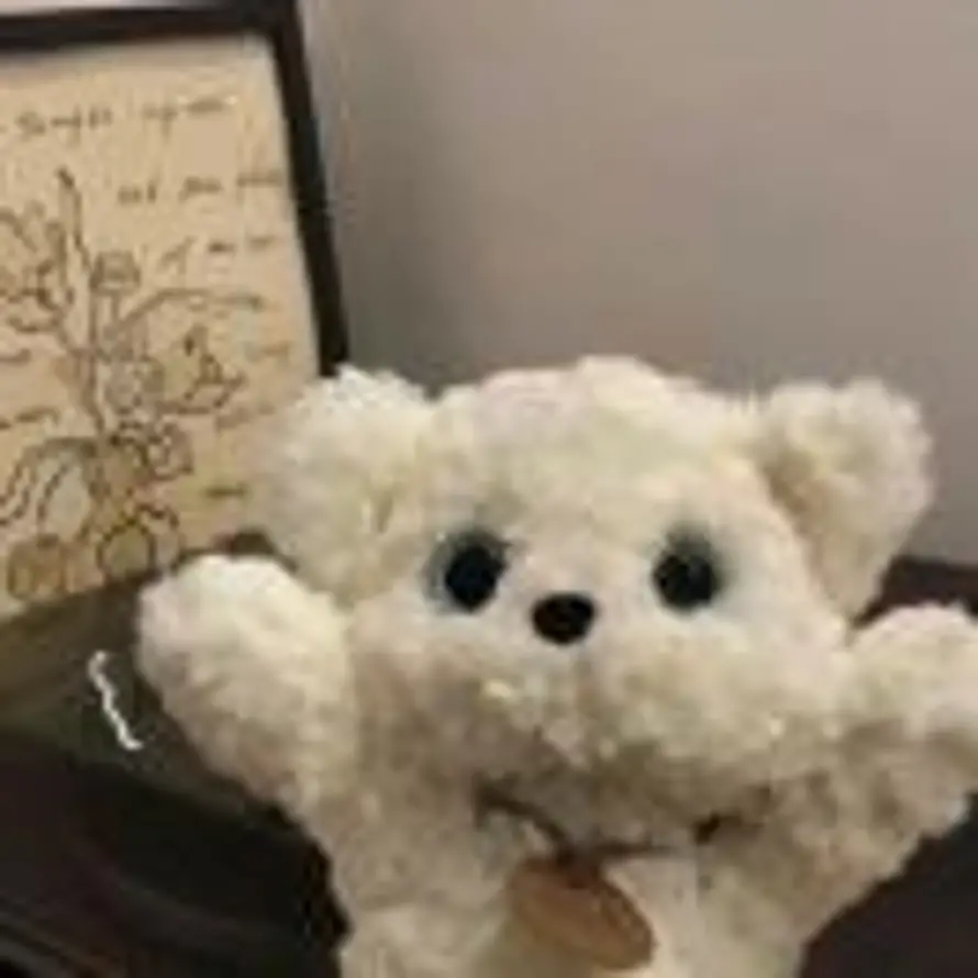 Gentle rain的头像