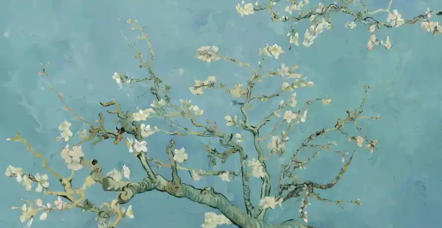 4k插画壁纸-花和-壁纸分享「哲风壁纸」