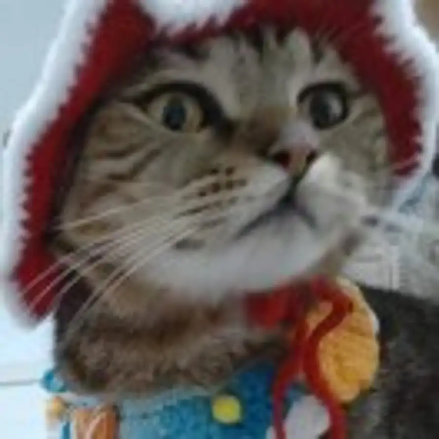 五松打浒的头像