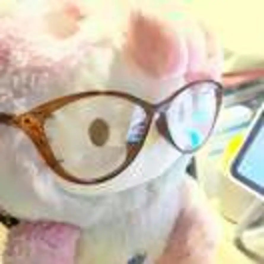 好运莲莲的用户头像 - 哲风壁纸