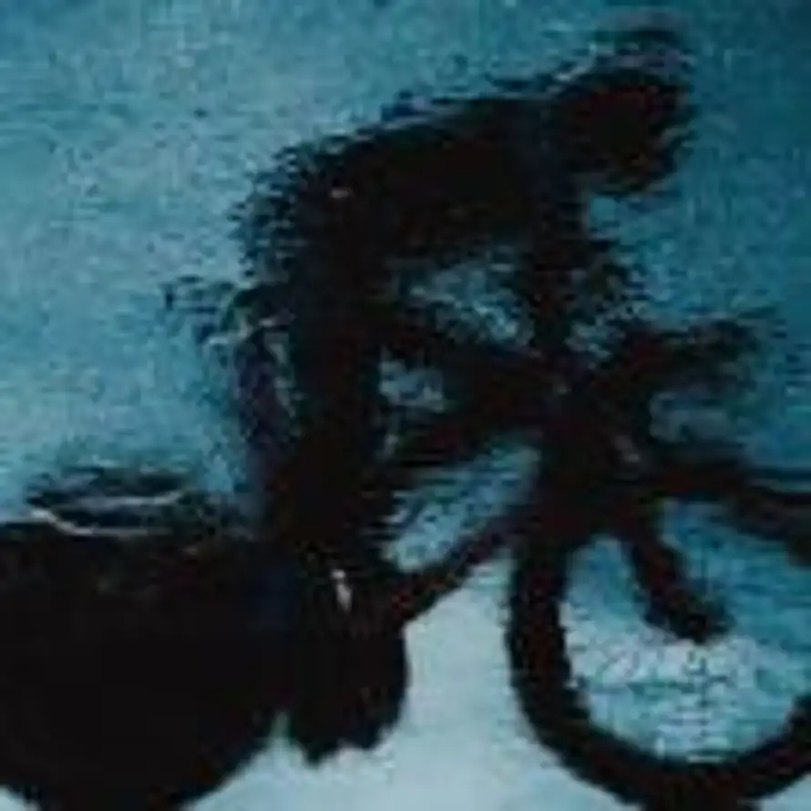 霸气的毛毛虫的头像