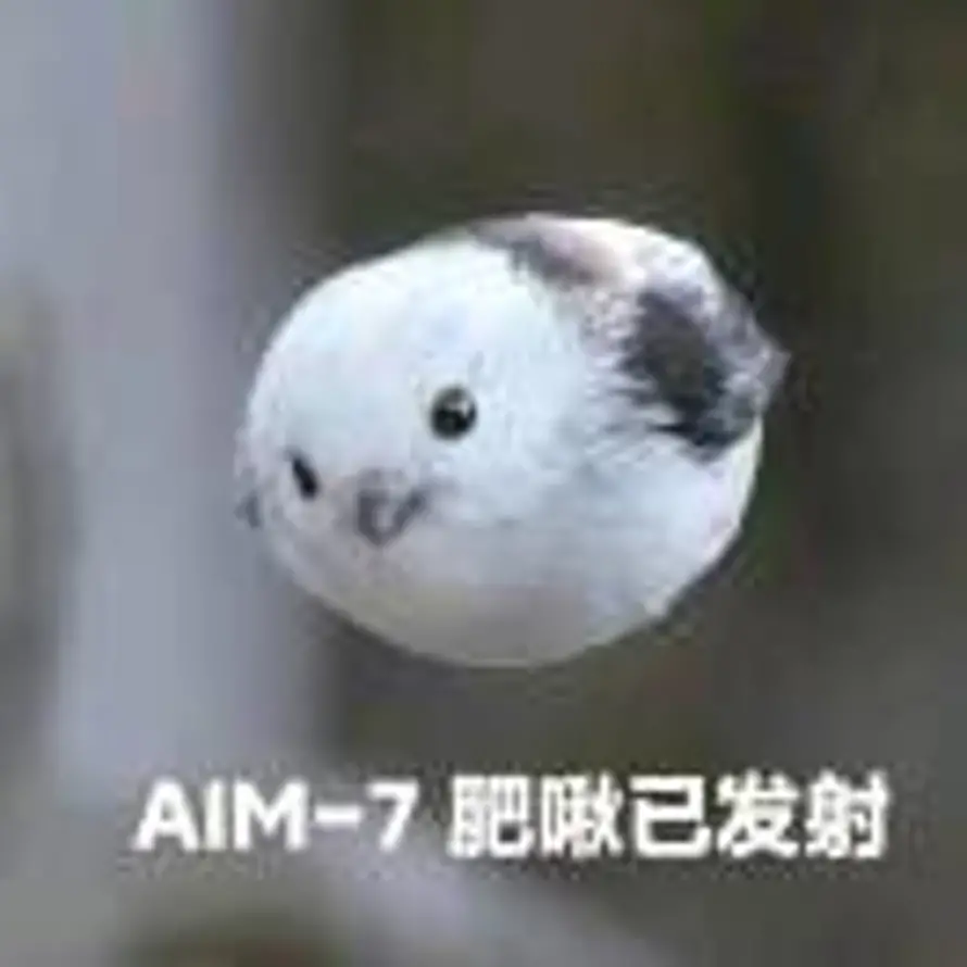 刘旭的头像
