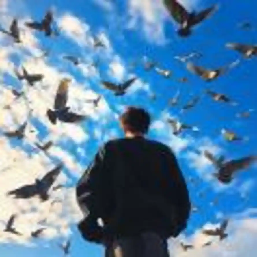 未来可期的头像